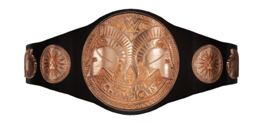 Nitro Women's Tag Team Championship | ShadiestCard4 my wwe ...