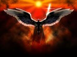 Images6