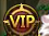 VIP icon - B