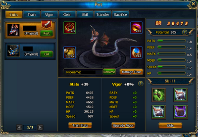 Pets - main