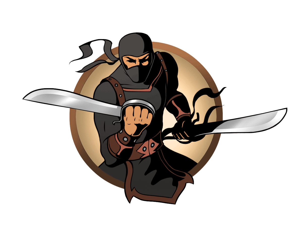 Shadow Fight 2 Ninja Sword