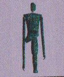 Cerneabbas