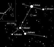 Canis major