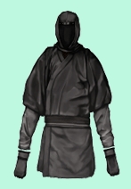 Ninja gi