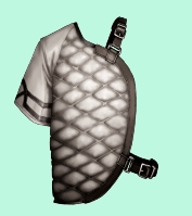 Plastron