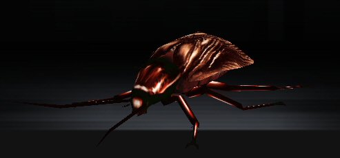 roach queen shadowhearts wiki fandom powered by wikia