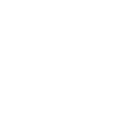 Legión de la Estrella logo