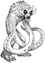 Codex Raum
