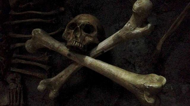 Arquivo:City crossbones.jpg