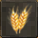 Wheat