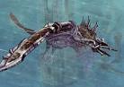 Images (5)