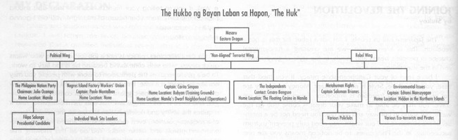 Huk network (Shadowrun Sourcebook, Cyberpirates)