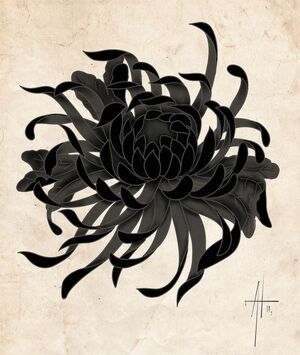 Chrysanthemum (Internet)