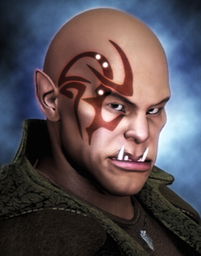 Ork (Internet)