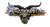 DragonfallLogo