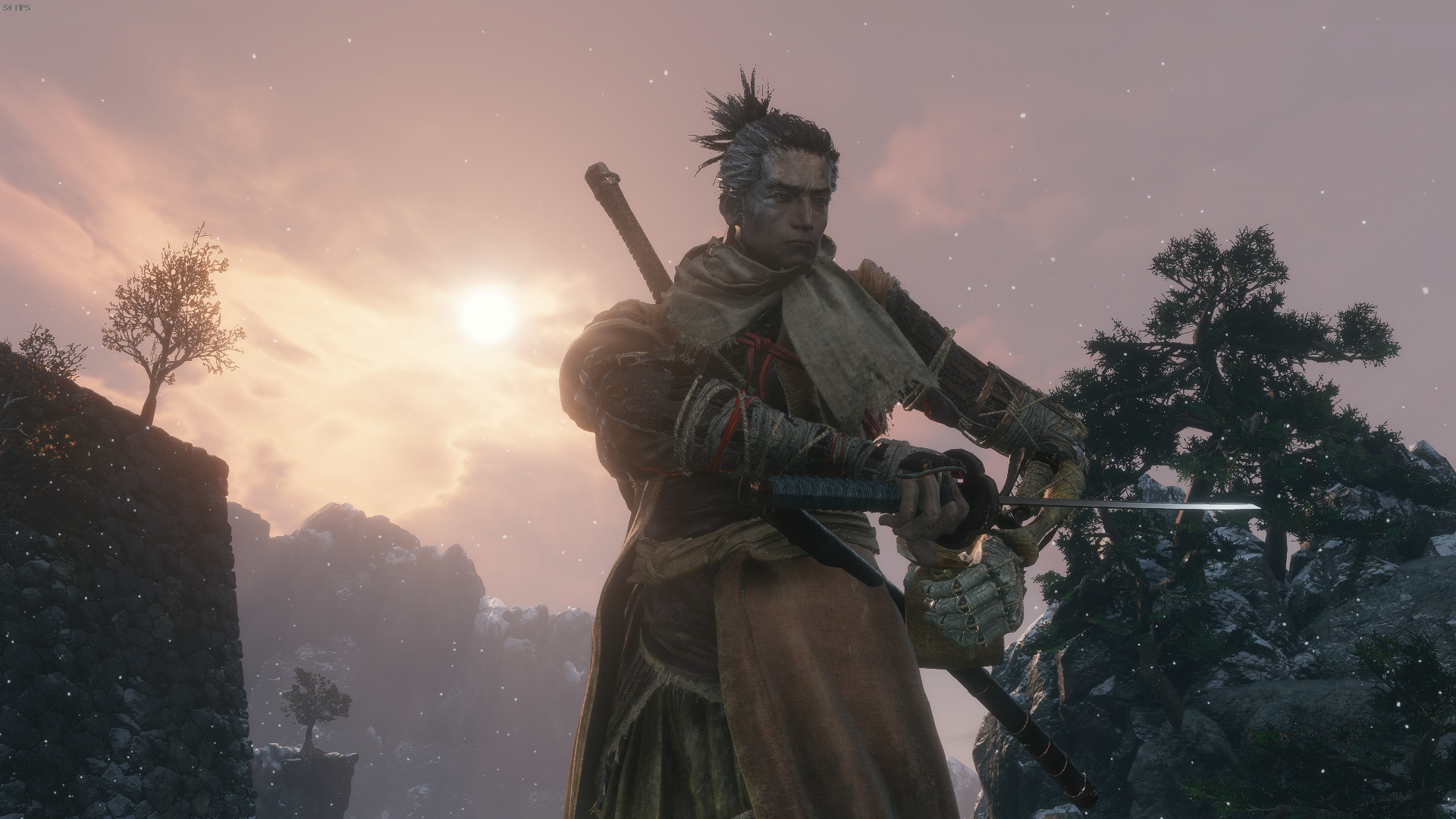 Light Coin Purse | Sekiro: Shadows Die Twice Wiki | Fandom