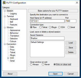 Putty