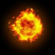 Images (17)