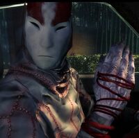Hoji Shadow Warrior Wiki Fandom