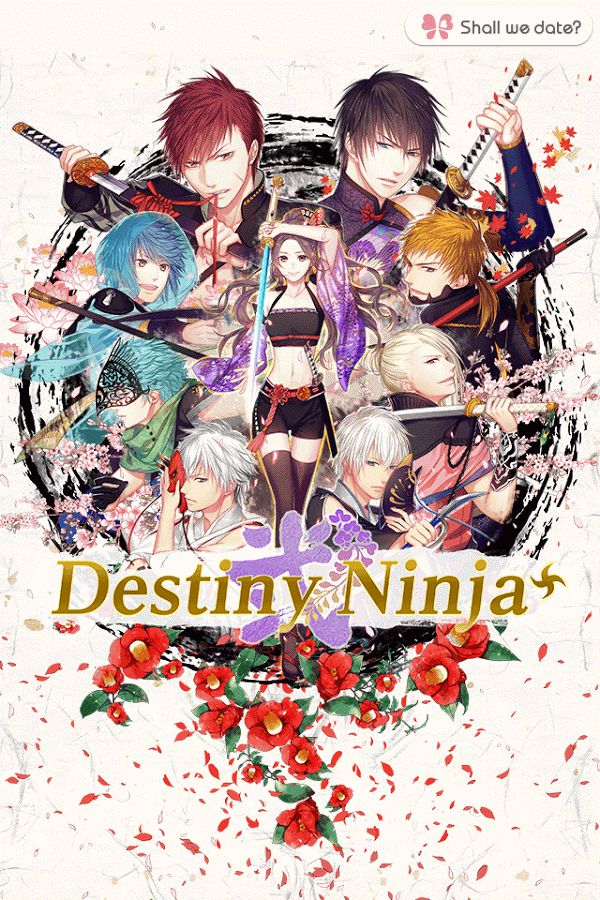destiny-ninja-2-shall-we-date-wikia-fandom-powered-by-wikia