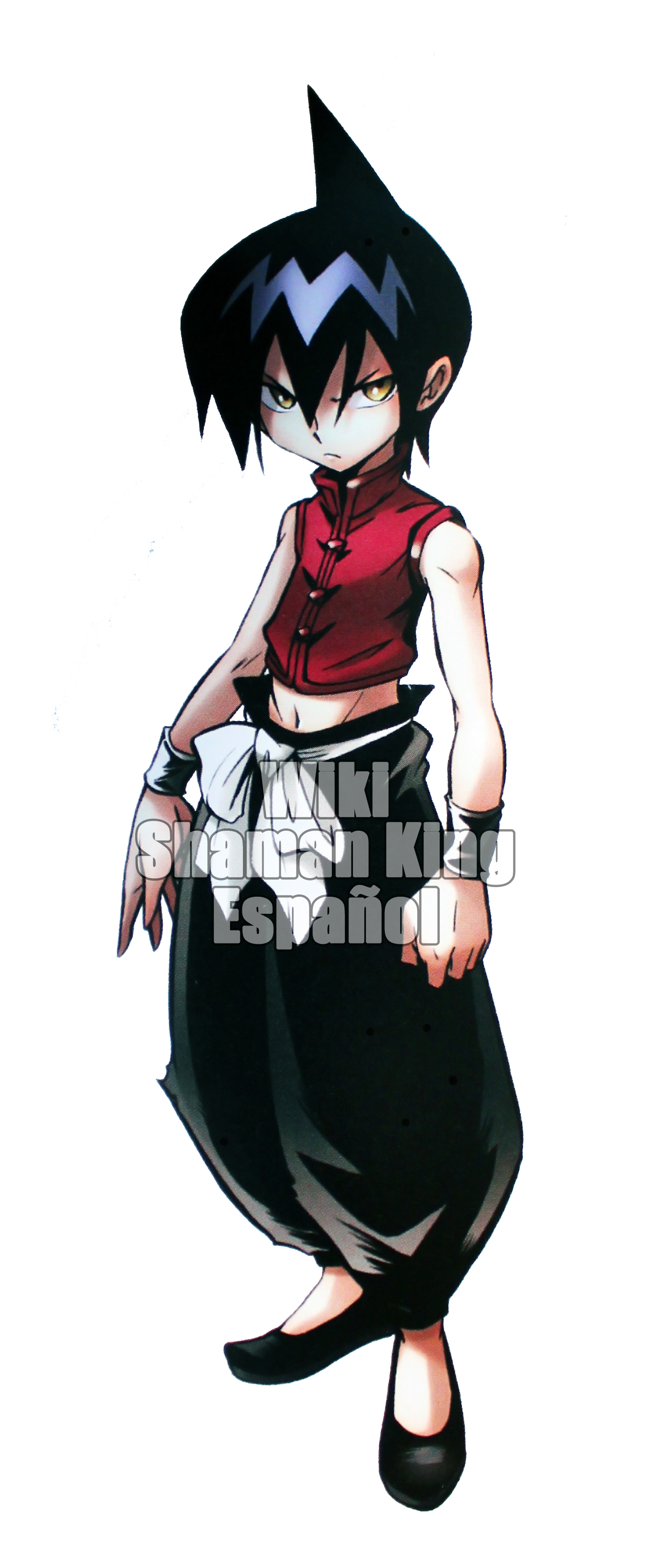 shamanking.fandom.com