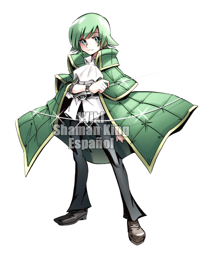 shamanking.fandom.com
