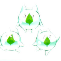Wallpaper Shikigami Kooni Shaman King Wiki Fandom For Free