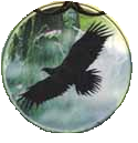War shrike