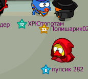 Попугая