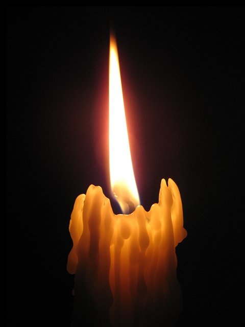 latest?cb=20190619130409&format=original&path-prefix=ru