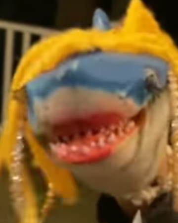 shark puppet puppet