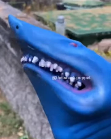 blue shark puppet