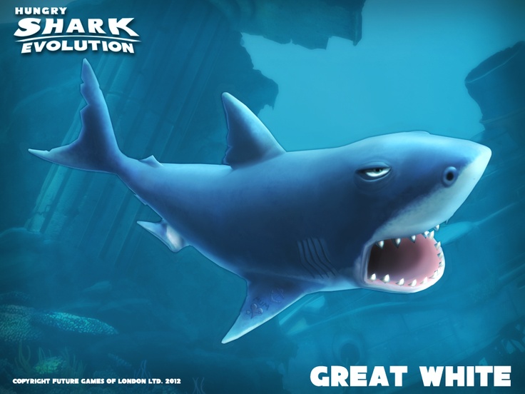 hungry shark world wiki max grate wite hungry shark world wiki max grate wite