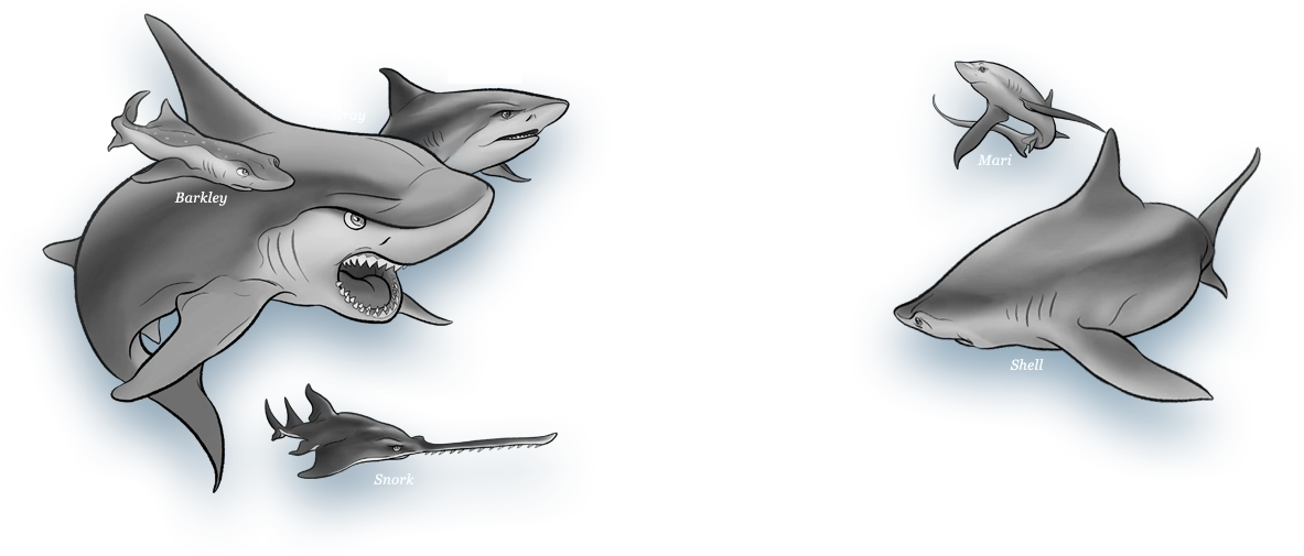 Rogue Shiver Shark Wars (book) Wiki FANDOM powered by Wikia