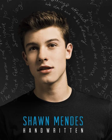 Never Be Alone Shawn Mendes Wiki Fandom