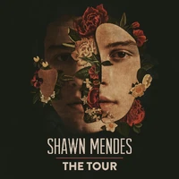 Shawn Mendes The Tour Shawn Mendes Wiki Fandom