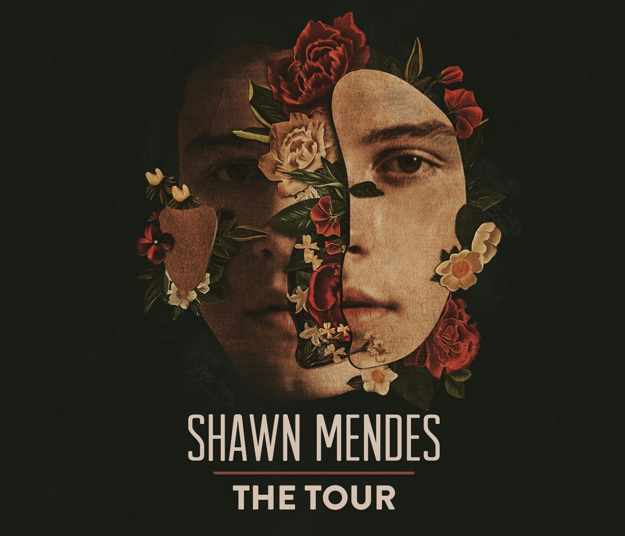 shawn mendes last tour