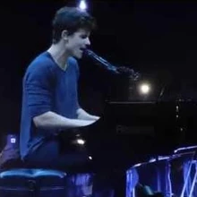 Life Of The Party Shawn Mendes Wiki Fandom