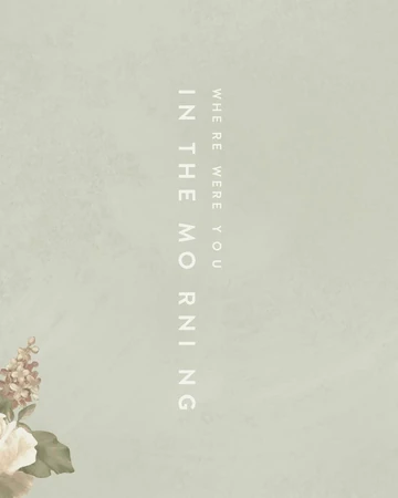 Where Were You In The Morning Shawn Mendes Wiki Fandom