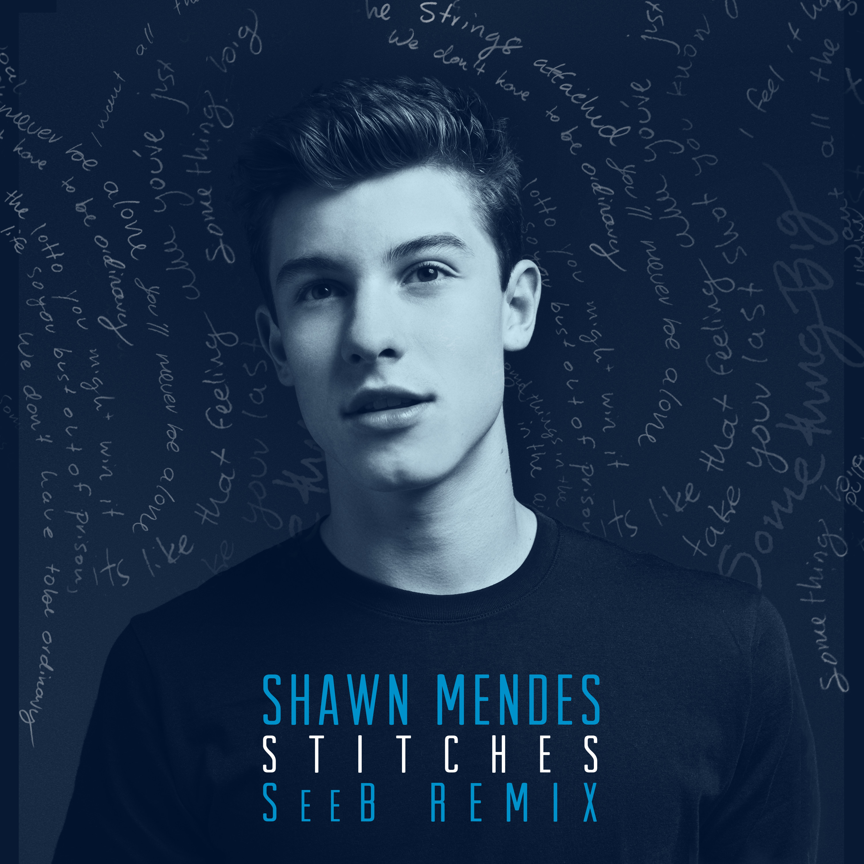 Shawn Mendes' Wikipedia: Everything You Need To Know - p9dpthq