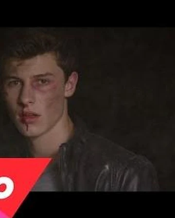 Stitches Shawn Mendes Wiki Fandom