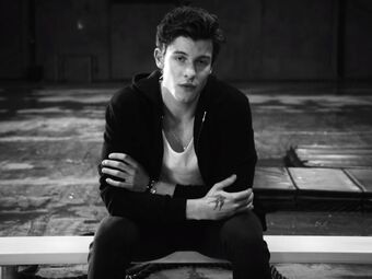 Camila Cabello Gallery Shawn Mendes Wiki Fandom