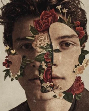 Like To Be You Shawn Mendes Wiki Fandom