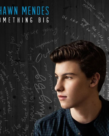 Something Big Shawn Mendes Wiki Fandom
