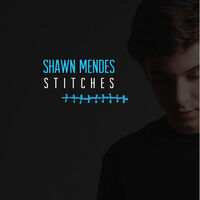 Stitches Shawn Mendes Wiki Fandom
