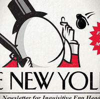 The New Yolker Shell Shockers Wiki Fandom