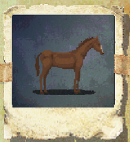 Horse