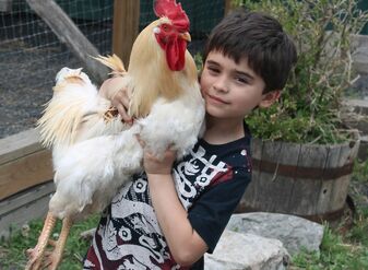Current jonah holding chicken