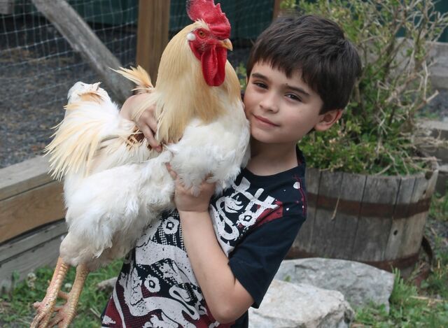 File:Current jonah holding chicken.jpg
