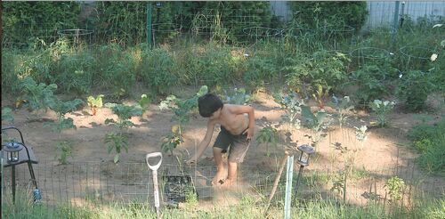 Current jonah nurturing his garden